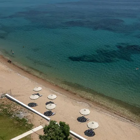 Greek Dream Agios Andreas (Messenia)