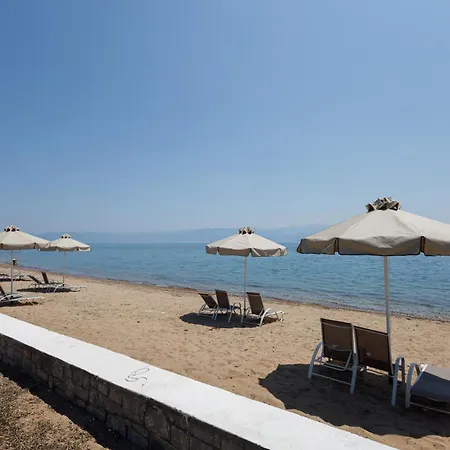 Greek Dream *