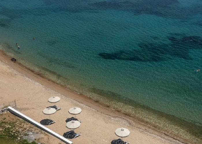 Greek Dream Айос-Андреас